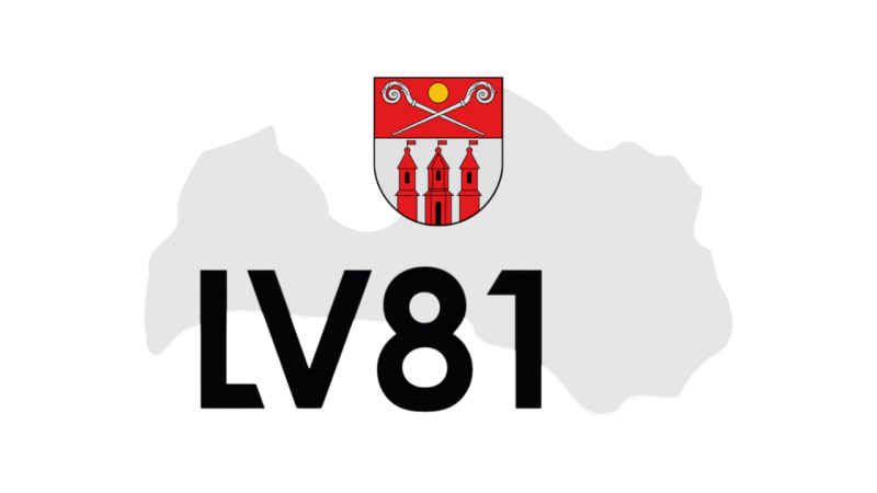 lv81 piltene